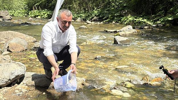Kocaeli'nde 8 bin kırmızı benekli alabalık yavrusu dereye salındı