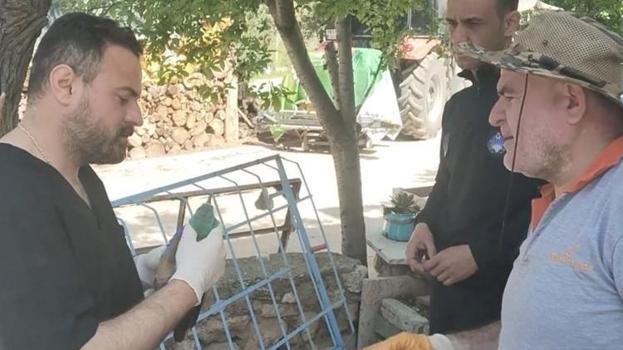 Tarlasında çalışırken fark etti, çok nadir görülüyor! Sırbistan'dan gelmiş, bakanlık devreye girdi