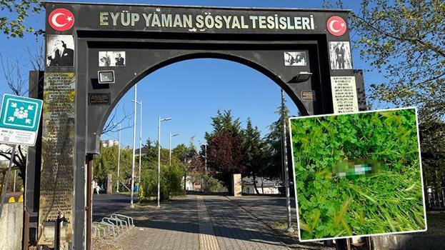 Parkta bulduğu şişede su var sanıp kafalarına diktiler sonrası hastanede bitti