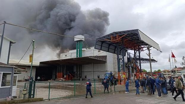 Sakarya'da fabrika yangını! Müdahale sürüyor
