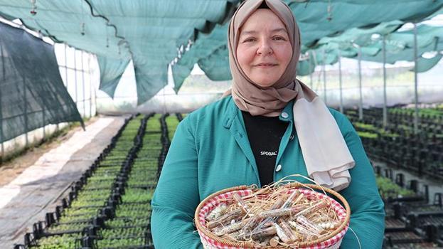 Emekli olduktan sonra girişimci oldu! 51 yaşında hayatını sil baştan kurdu