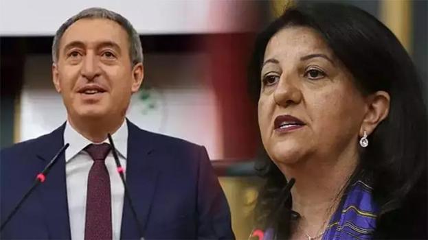Fesih kararı sonrası DEM'den ilk açıklama geldi