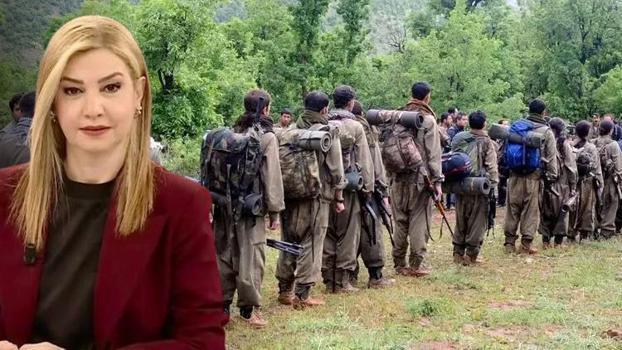 Türkiye terör sorununda yeni bir sayfa açıyor! Dicle Canova perde arkasını CNN TÜRK’te anlattı