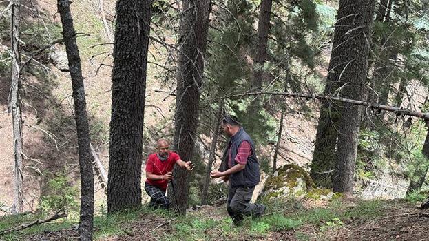 Tüm köy zengin oldu: Kilosunu bin liradan satıyorlar! 'Altın bulsak bu kadar sevinmeyiz'