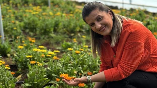 Kayınvalidesinden tohumunu aldı seri üretime geçti! Yılda 16 kez ürün alıyor: Ekili haldeyken satılıyor