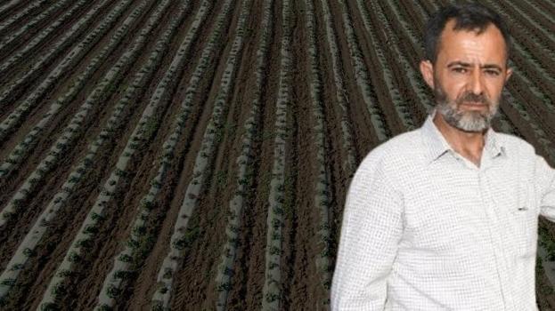 Para kazanamayınca ailece eğitim alıp 17 tane birden kurdu! İlk denemede tuttu, yeni yöntemle zengin olacak