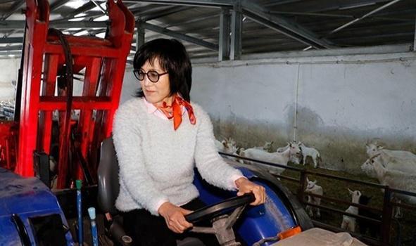 Güney Kore'den geldi, genç kadın iş fikrini Kocaeli'de hayata geçirdi! Üretim 22 dönüme ulaştı
