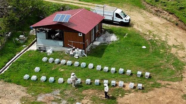 Bitlisli arıcılar için mesai başladı!  Sezonun ilk hasadı bekleniyor