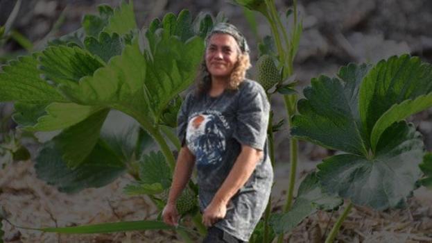 Pandemide şehirden kaçıp kasabasına döndü! Üretime başladı, artık talebe yetişmek onun için imkansız