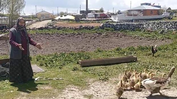 Kars'ta sofraların vazgeçilmezi! Köylüler gözü gibi bakıyor, kilosu 4.500 lira, gram altınla yarışıyor