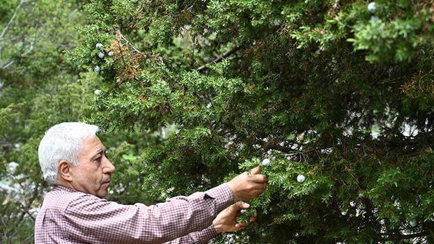 Ham maddesi doğadan, işçiliği Mustafa Usta'dan! İnternetten sattığı tespihlerin siparişlerine yetişemiyor