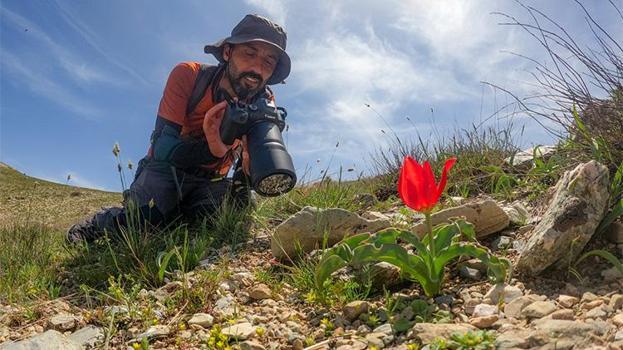 Dünyadaki türlerin üçte biri Türkiye'de! Diyarbakır'da yeni bir tür keşfedildi