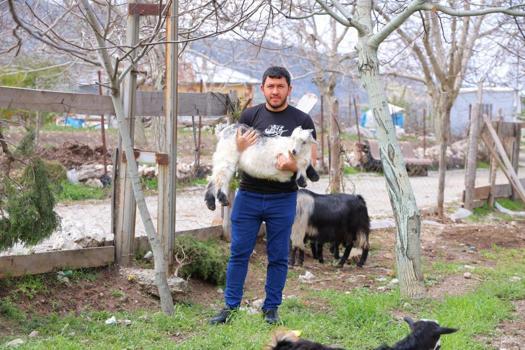 Kahramanmaraş'ta don ve dolu vuran ceviz bahçeler boş kaldı, çiftçi geçim kaynağını değiştiriyor