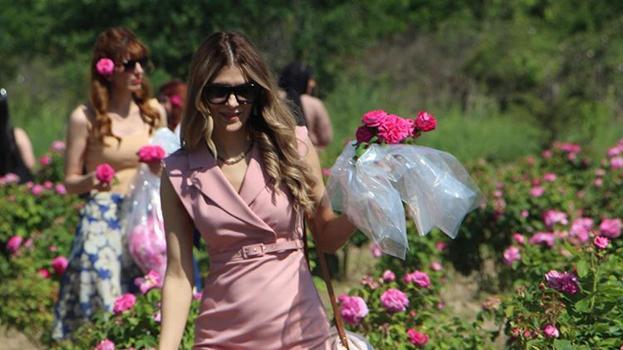 Edirne'de hasat şenliği! 5 yıl önce başladı, simge haline geldi! Hepsi oraya akın etti