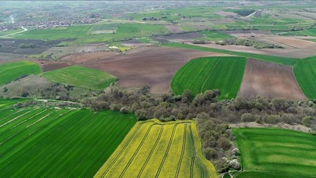 5 milyon kişi ilgilendiriyor! Bakan Kurum'dan 2B müjdesi: Tapularını kazandıracağız