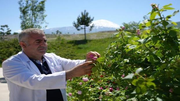 Ağrı Dağı'nda büyüdü üniversitede katma değere kavuştu! Iğdır'da kampüs alanı sanayiye döndü 'Destekçisi biz olduk'