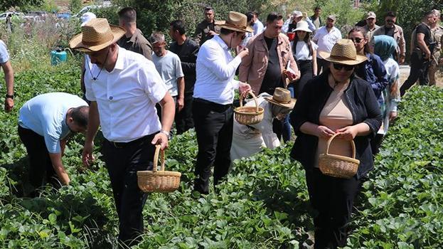 Batman'da 4 aileyle başladı, şimdi 400 hane para basıyor! İlk hasat başladı, 81 ile satacaklar