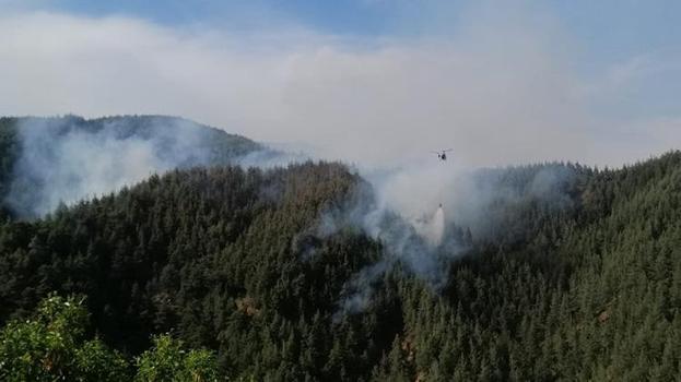 Kahramanmaraş'ta orman yangını! Ekipler müdahale ediyor