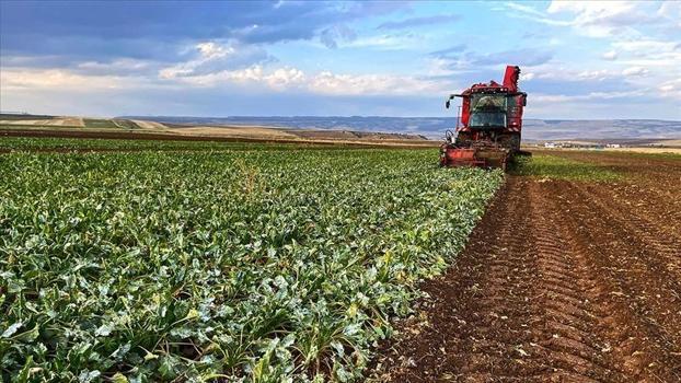 Çiftçilere 3,3 milyar lira destek ödemesi bugün hesaplara yatacak