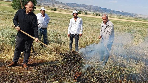 Sadece 8 gün sürüyor ama Arap ülkelerine her yıl tonlarca satıp servet kazanıyorlar: Maliyeti düşük ve zahmetsiz