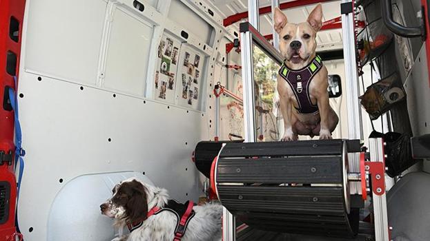 Vefat eden köpeğinin anısına, özel tasarım koşu bandıyla patili dostlarına destek oluyor
