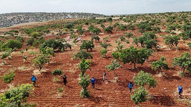 Gaziantep'te kaybolan otizmli Onur'u arama çalışmaları devam ediyor