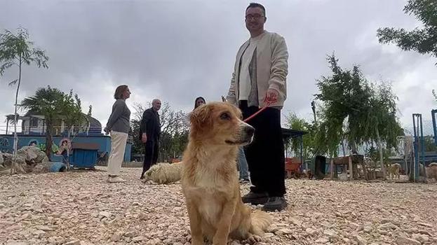 Emekli Hayvanlar Çiftliği'nde sıradan bir gün: Günübirlik sahiplenme başladı