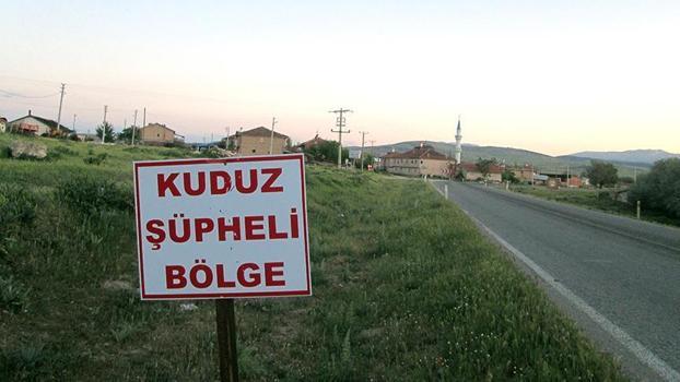 Hatay'da kuduz alarmı! 4 mahalle karantina altına alındı