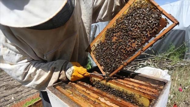 Manisa'da dünyada bir ilk yapılıyor! Maden sahasında üretimine başlanıyor