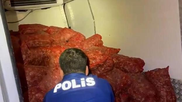 Samsun'da kaçak avlanan 2,9 ton midye ele geçirildi