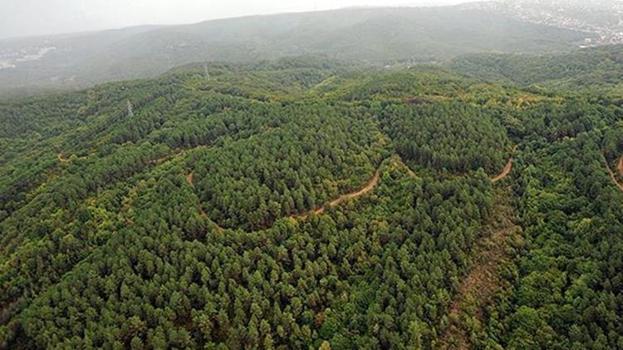 Burdur Valisi açıkladı! Ormanlık alanlara girişler yasaklandı