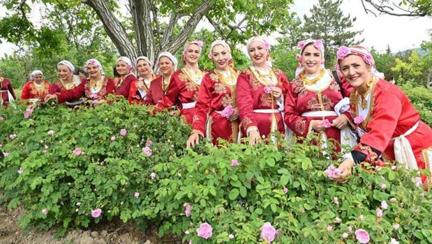 Hasat başladı, Isparta Gül Festivali'nde coşku doruklara taşındı