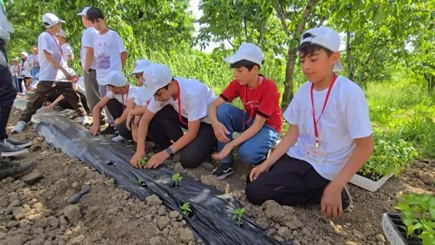 Bingöl'deki proje üst üste 3 yıl kabul edildi