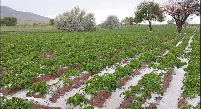 Nevşehir'de tarımı dolu ve sel vurdu!