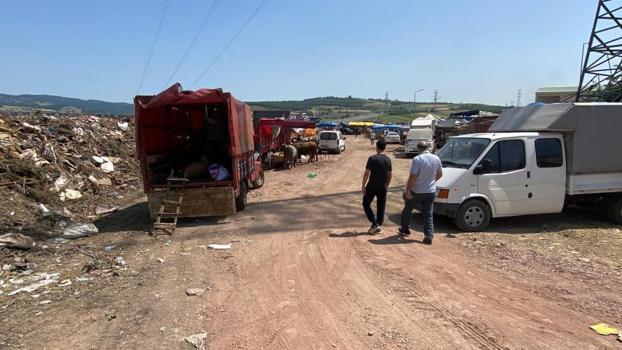 Kocaeli'de akılalmaz görüntü! Kurban satış yeri çöplükte açıldı