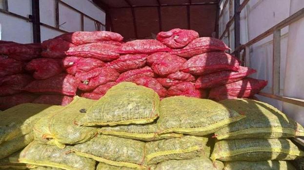 Sakarya'da 3 milyon TL değerinde kaçak midye ele geçirildi