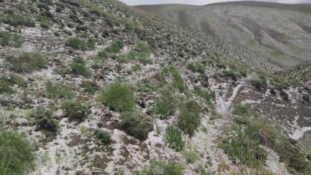 Artık Haziran'da da kar yağıyor! Dağın eteğinden şehre indi: Gören yaz sıcağında üşüdü