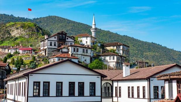 Sakarya Kurban Bayramı'na hazır! Şehirin dört bir yanı çiçeklerle donatıldı