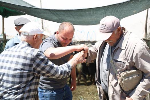 Elazığ'da kol kıran kurban pazarlığı: Hayvan pazarında ilginç görüntü