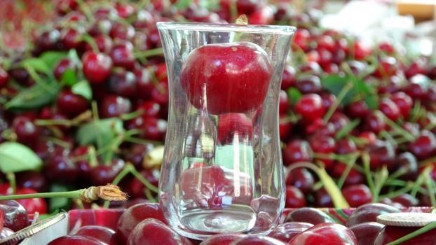 Kiraz çay bardağına sığmıyor! Hasat başladı: Çanakkale'de yüzler güldü: Kilosu 700 lira