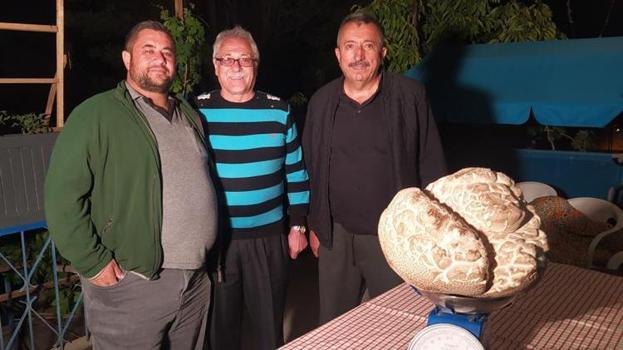 Almanya'dan Sivas’a geldi, tarlada dondu kaldı! Taş sandı, gerçek başka çıktı: İlk kez görüyorum