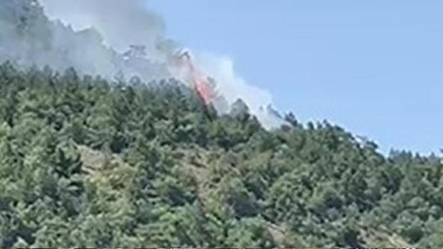 Ankara'da orman yangını