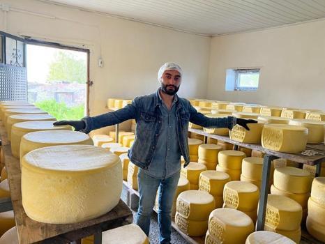Kars'ta tonlarcası eski kaşar için işleniyor!