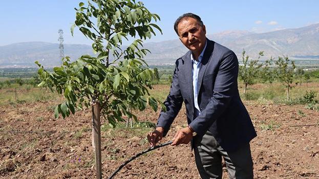 Erzincan'da öğretim üyesi çorak araziyi tarıma kazandırdı! İşte akıllara durgunluk veren yöntem