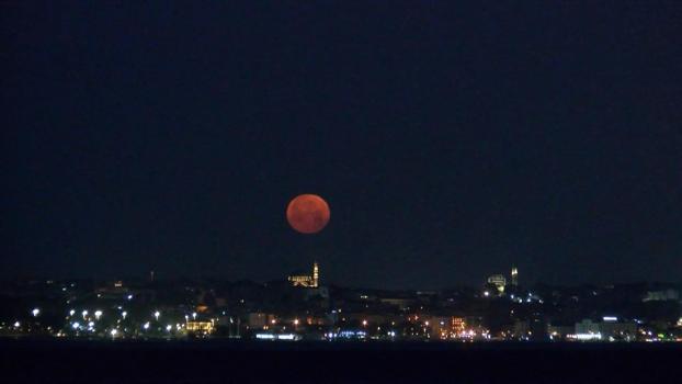 İstanbul'da 18 yıl sonra görüntülendi! Görenleri mest etti