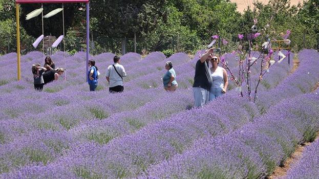 Tekirdağ'da hasat vakti değil ziyaret vakti geldi! Kurban Bayramı'nda ziyaretçi akını