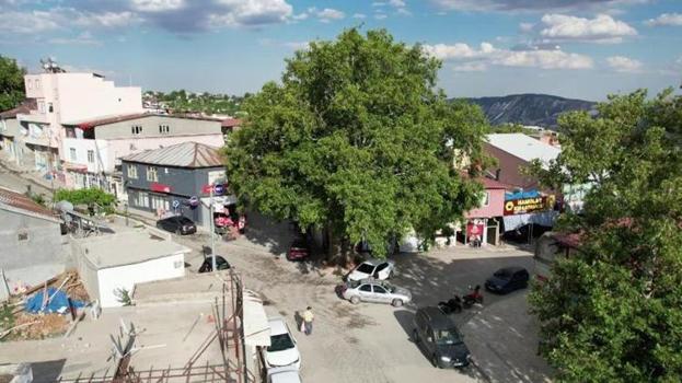 Adıyaman'da tam 600 yıllık! Gören fotoğraf çekiyor, bakanlık özel karar çıkardı