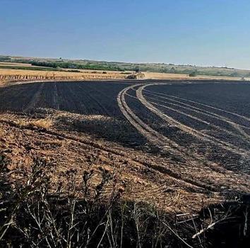 Kırklareli'nde 30 dönüm buğday alanı kül oldu