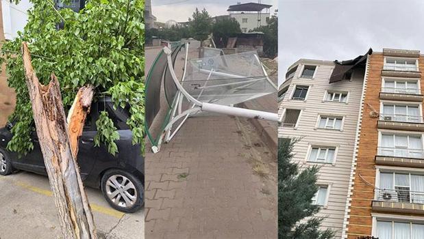 Şiddetli rüzgar her yeri savaş alanına çevirdi! Otobüs durağı yıkıldı, ağaçlar devrildi, çatılar uçtu