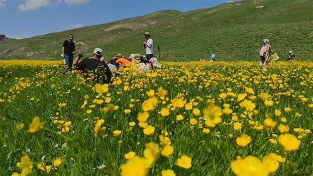 Van'daki doğa harikası kanyon sarıya boyandı, keşfedilmeyi bekliyor